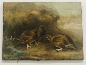 Archibald Thorburn "Perdices" Realist Oil Canvas C. 1900-1930  - $200K APR w/CoA