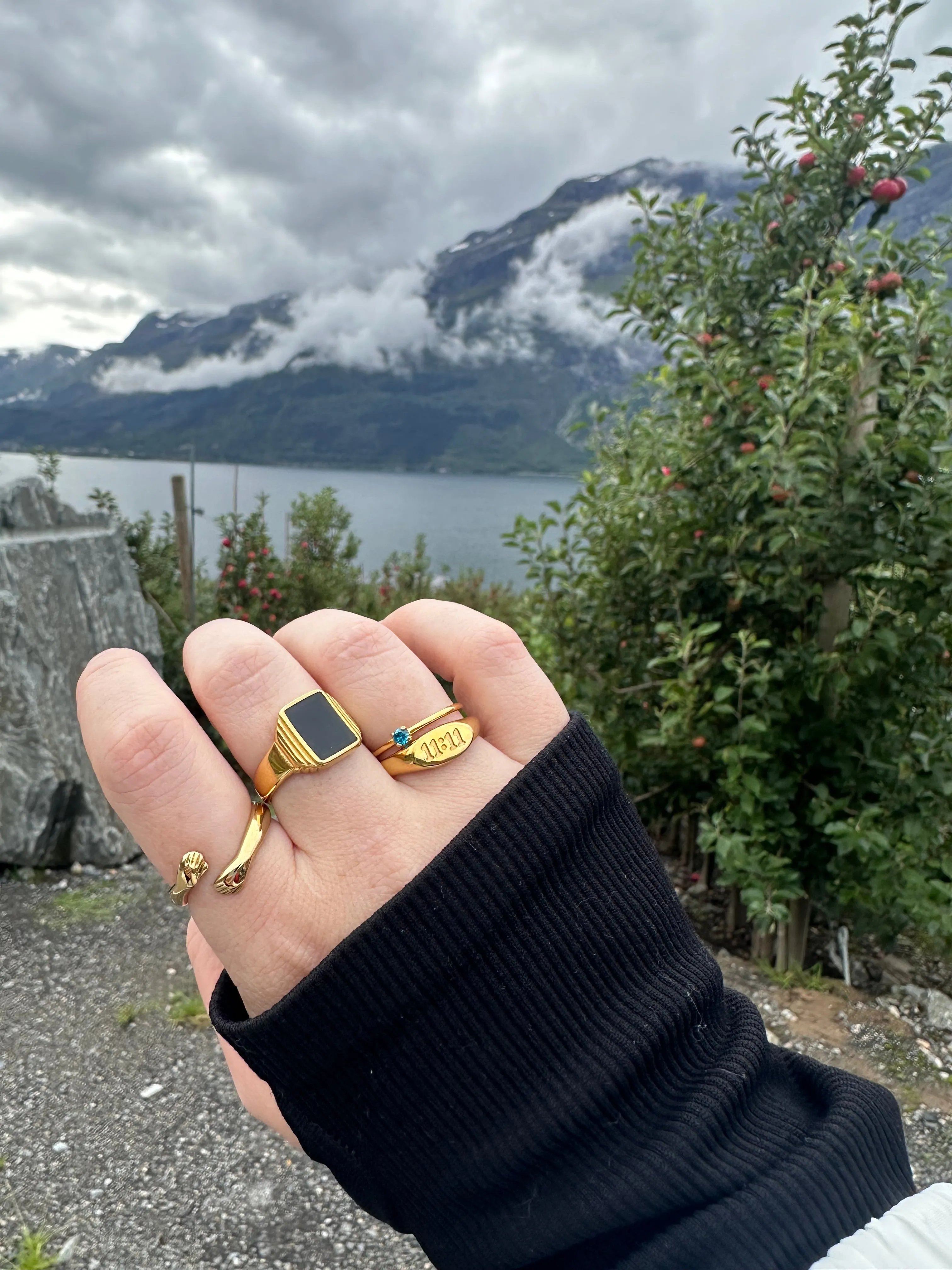 Black Vintage Power Ring