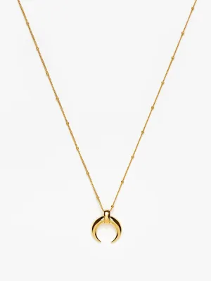 Lucy Williams large horn pendant necklace