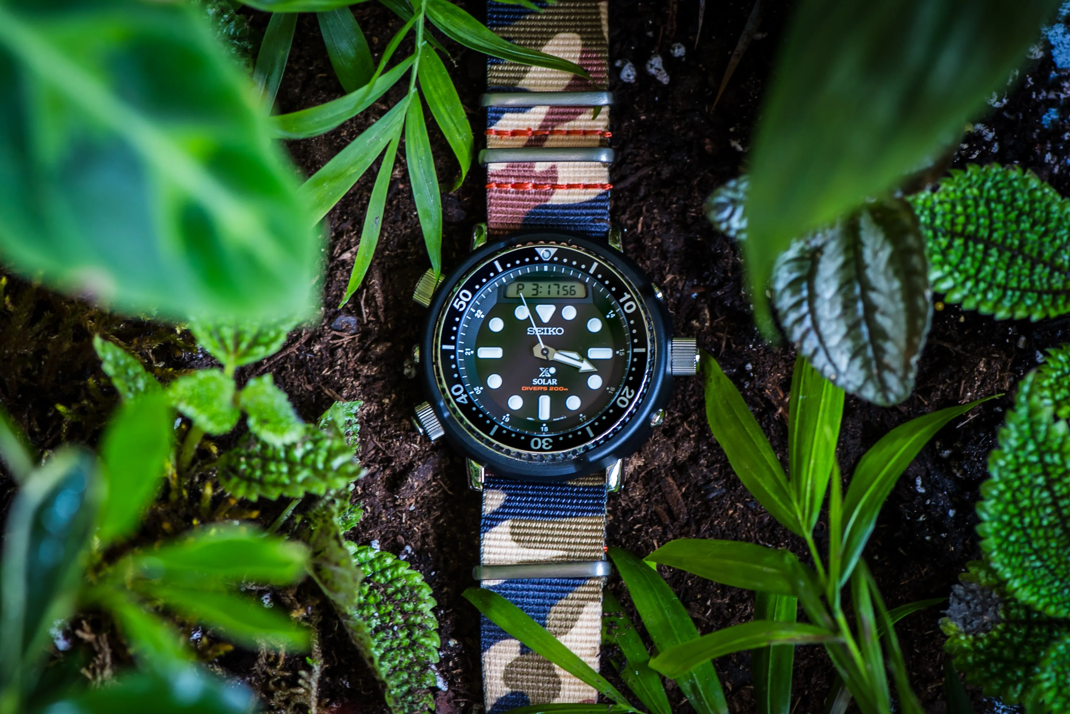 Original - Camo Woodland